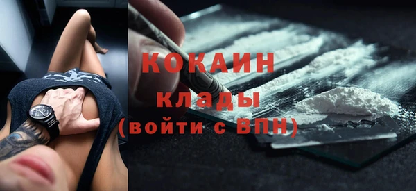 сатива Кукмор