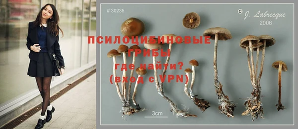 герыч Кулебаки