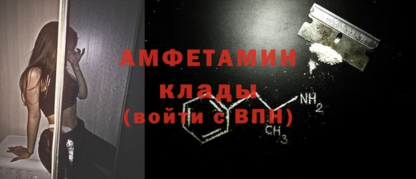 сатива Кукмор