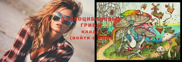 сатива Кукмор
