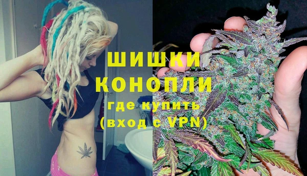 сатива Кукмор