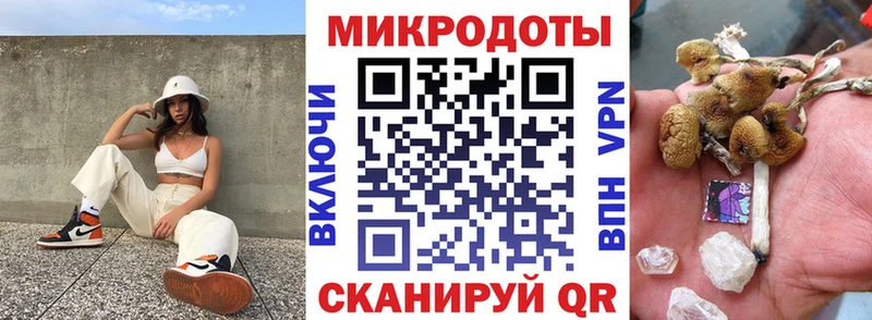 Псилоцибиновые грибы Cubensis  Купить где  Арсеньев 